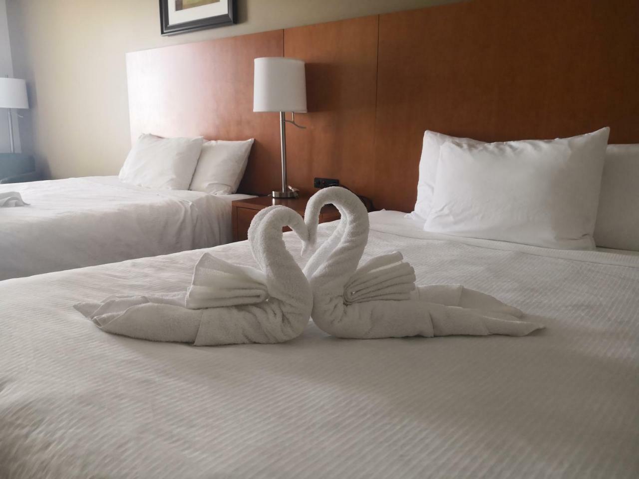 Quality Inn & Suites Хоксбъри Екстериор снимка